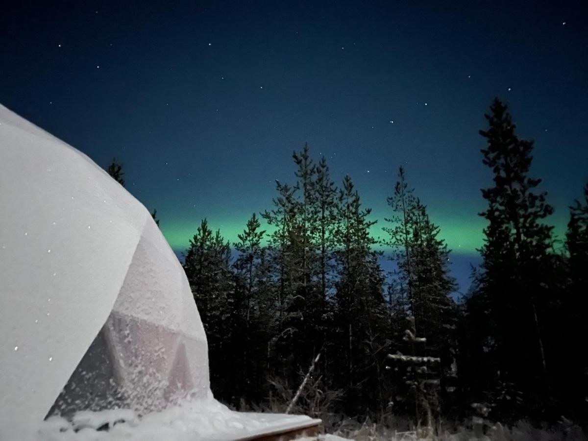Aurora Igloo Fireplace-Heated Tents In A Secret Forest With Private Jacuzzi And Shared Sauna Bathroom And Dog Friendly 로바니에미 외부 사진