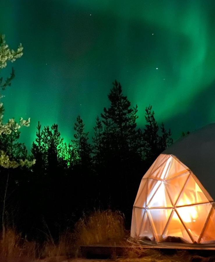 Aurora Igloo Fireplace-Heated Tents In A Secret Forest With Private Jacuzzi And Shared Sauna Bathroom And Dog Friendly 로바니에미 외부 사진