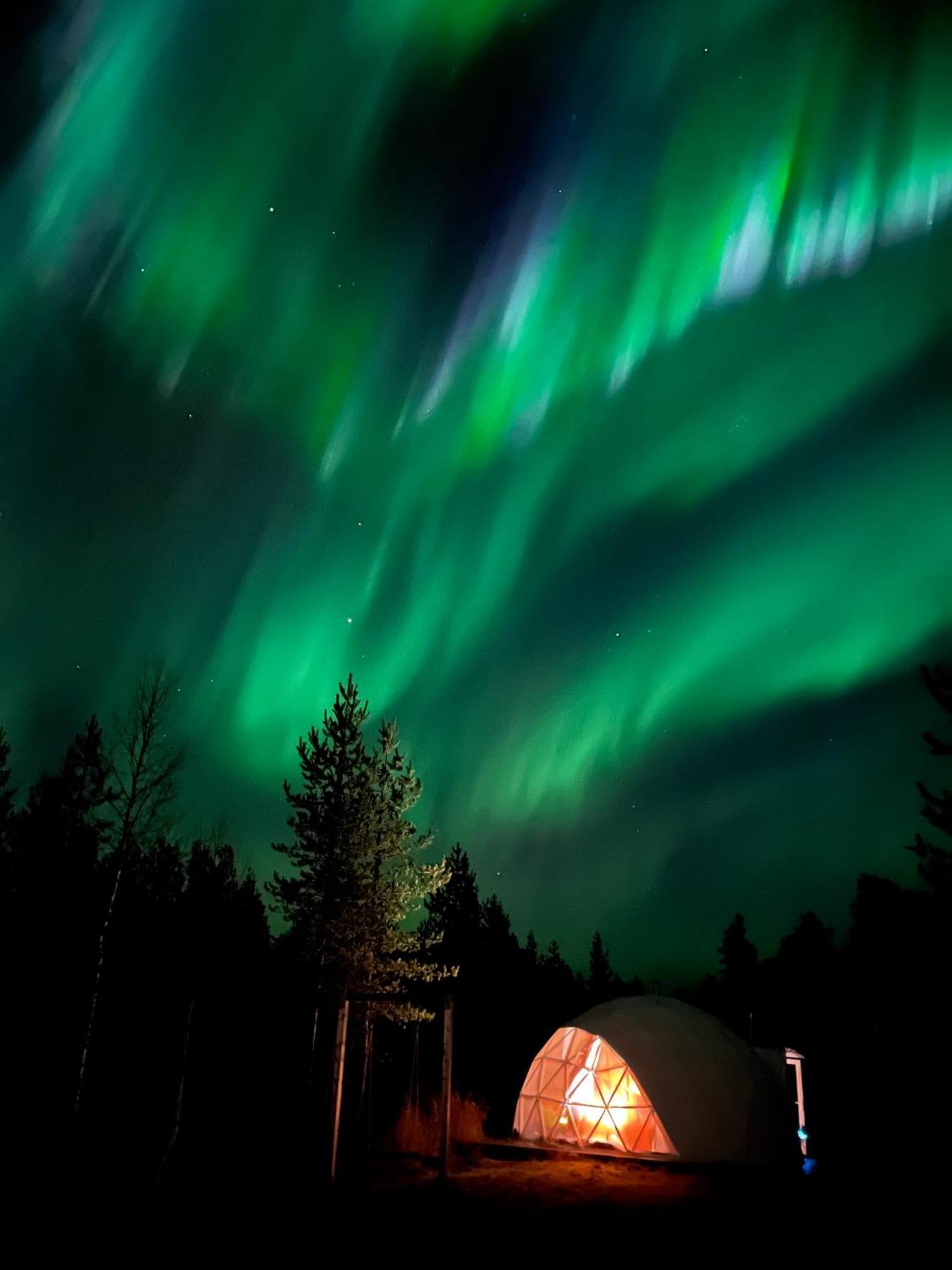 Aurora Igloo Fireplace-Heated Tents In A Secret Forest With Private Jacuzzi And Shared Sauna Bathroom And Dog Friendly 로바니에미 외부 사진