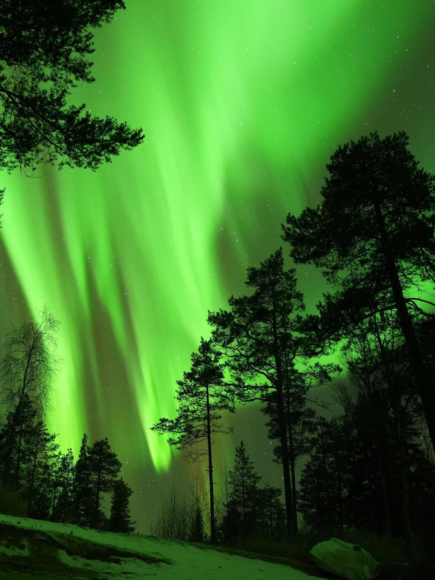 Aurora Igloo Fireplace-Heated Tents In A Secret Forest With Private Jacuzzi And Shared Sauna Bathroom And Dog Friendly 로바니에미 외부 사진