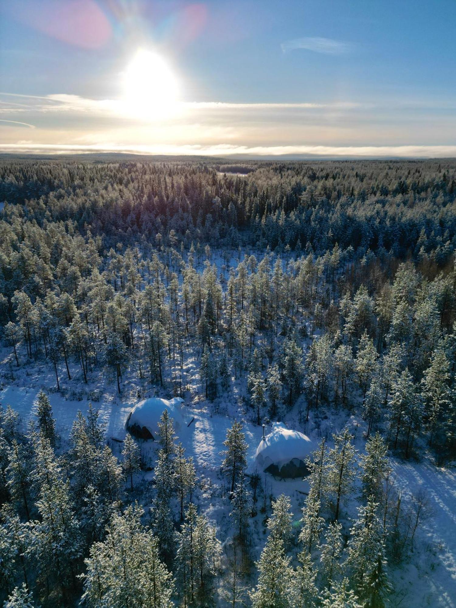 Aurora Igloo Fireplace-Heated Tents In A Secret Forest With Private Jacuzzi And Shared Sauna Bathroom And Dog Friendly 로바니에미 외부 사진